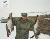 Охота на гусей в Красноярском крае
