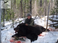 Охота на медведя в Бурятии