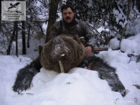 Охота на бурого медведя в Кировской области