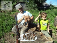 Охота на болотно-луговую дичь со спаниелем в Тверской области
