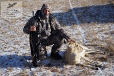 Охота на белохвостую газель (дзерана) в Монголии