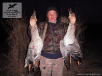 Охота на гуся-гуменника в Рязанской области