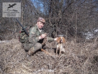 Охота на вальдшнепа с русским спаниелем в Рязанской области