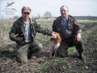 Охота на тетерева в Тверской области
