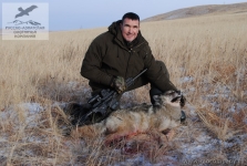 Охота на волка в Монголии