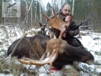 Охота на лося в Новгородской области