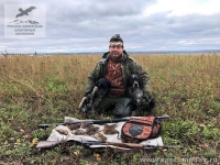 Охота с бретонскими эпаньолями в Орловской области