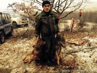 Охота на волка на Кавказе