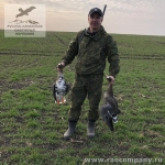 Охота на гуся в Орловской области