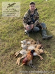 Охота на фазана и зайца в Краснодарском крае