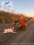 Охота на фазана в Астрахани