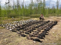 Охота на уток в Якутии