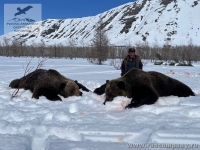 Весенняя охота на медведя в России