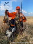 Охота на фазана на юге России