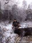 Охота на лося во Владимирской области