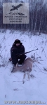 Охота на косулю в Орловской области