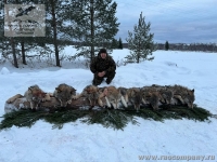 Охота на волков в России