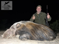Охота на лесную свинью в Африке