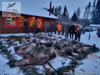 Охота на копытных в Прибалтике