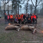 Охота на европейского оленя в Европе