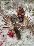 Охота на лося в Эстонии