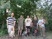 Охота в Орловской области на перепелку и куропатку