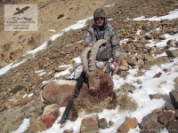 Охота на козерога в Киргизии