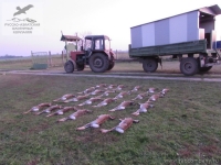 Охота на зайца в Венгрии