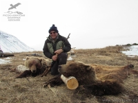 Охота на медведя на Камчатке
