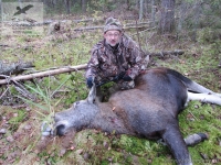 Загонная охота на лося в Новгородской области