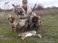 Охота с русскими спаниелями в Краснодарском крае
