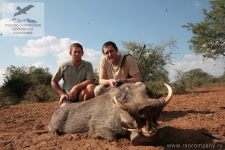 Охота на бородавочника в ЮАР