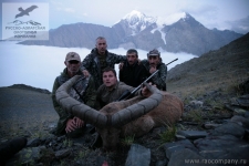 Охота на Дагестанского тура в Осетии