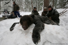 Весенняя охота на медведя в Сибири