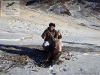 Охота на козерога в Сибири