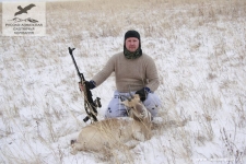 Охота на белохвостую газель в Монголии