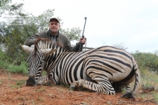 Охота на зебру в ЮАР