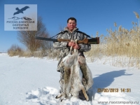 Охота на зайца в Саратовской области