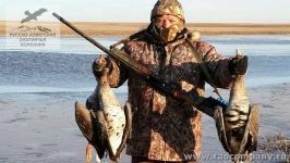 Охота на гуся в Саратовской области