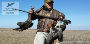 Охота на гуся в Саратовской области