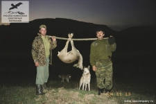 Охота на косулю в Дагестане