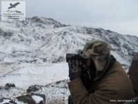 Охота в горах, Казахстан