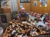 Белые грибы в Рязанской области